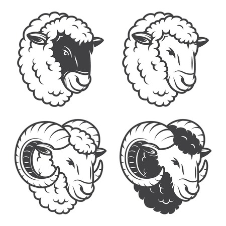 Vector illustration of 4 sheeps and rams heads. Monochrome, isolated on white background.のイラスト素材
