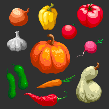 Farmers Vegetables decorative icons set Including pumpkins tomatoes cucumber and pepper on black background isolated vector illustrationのイラスト素材