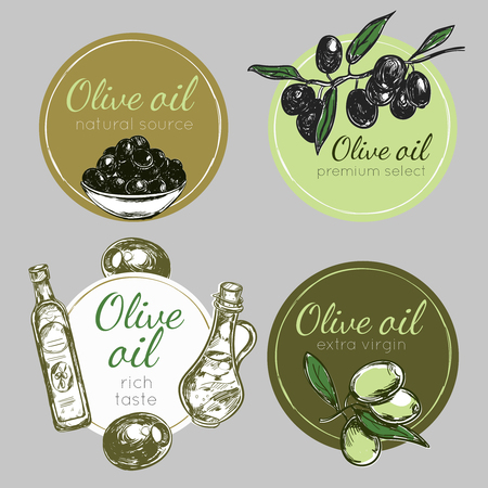 Colored and isolated hand drawn olive oil label set in circles with texts vector illustrationのイラスト素材