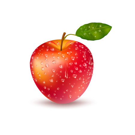 Isolated image of realistic ripe red apple wet with small drops and green leaf natural fruit with shadow on blank background vector illusrationのイラスト素材