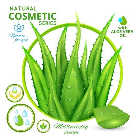Aloe vera natural cosmetics poster including 3d leaves of plant floral emblem and organic icons vector illustrationのイラスト素材
