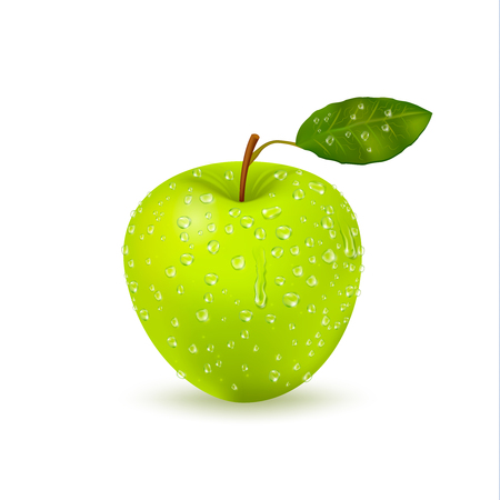 Realistic image of green apple wet with drops and natural green fresh fruit isolated with shadow on blank background vector illustrationのイラスト素材