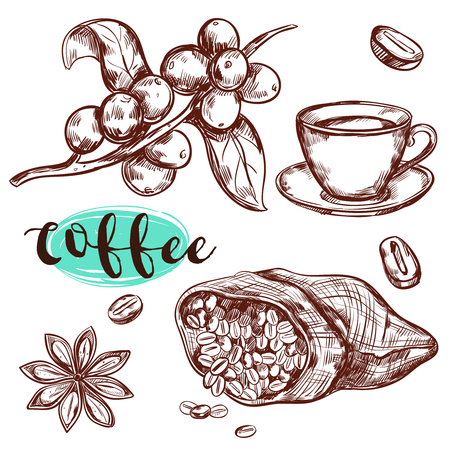 Coffee branch isolated icon set with spices cup of coffee and headline vector illustrationのイラスト素材