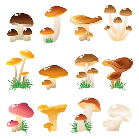 Twelve cartoon style isolated mushroom decorative icons set with inflorescence symbols and grass on blank background illustrationのイラスト素材