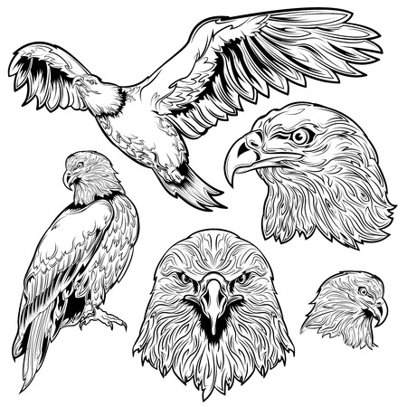 Eagle monochrome tattoo set with sitting and flying bird and head with proud look isolated illustrationのイラスト素材