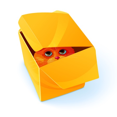 Colored eye inside box composition with cat sitting in yellow cardboard box illustrationのイラスト素材