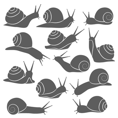 Isolated grey on white decorative snail symbols set with snails silhouettes on blank background flat illustrationのイラスト素材