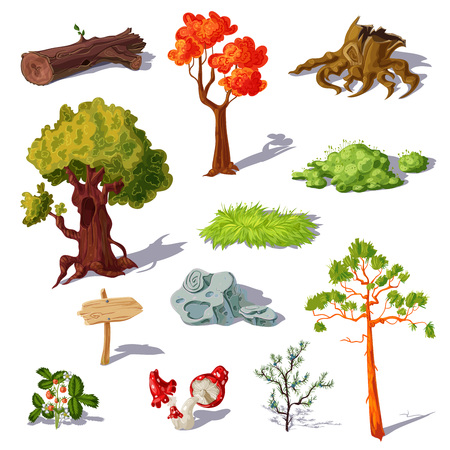 Forest elements set with coniferous and deciduous trees mushrooms and strawberry grass and stone isolated illustrationのイラスト素材