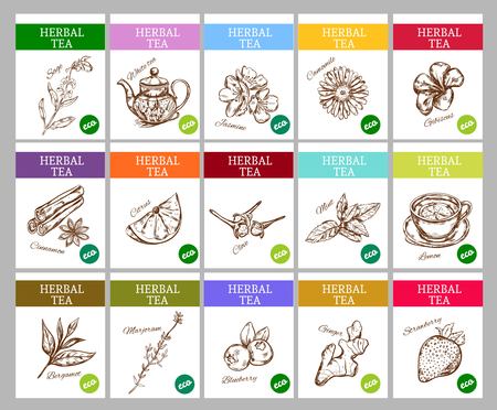 Sketch Herbal Tea Labels Collectionのイラスト素材