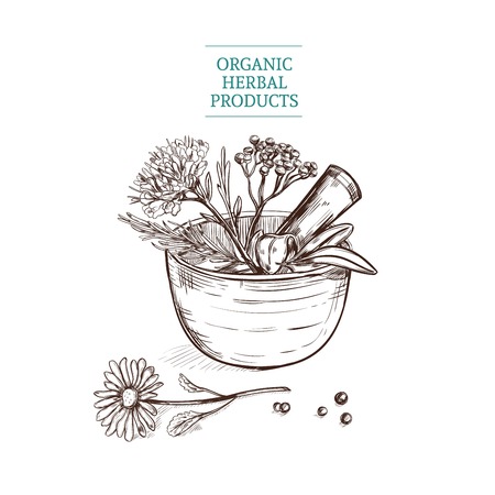 Hand Drawn Decorative Flower Basketのイラスト素材