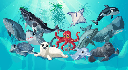 Cartoon Sea And Ocean Life Templateのイラスト素材