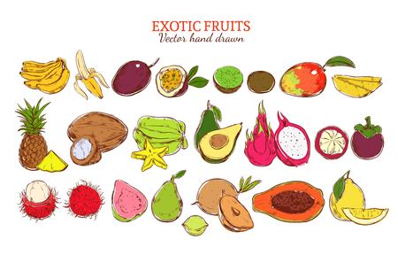 Colored fresh natural exotic fruits set with organic tropical products in hand drawn style isolated vector illustrationのイラスト素材