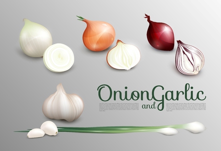 Realistic Fresh Vegetables Setのイラスト素材