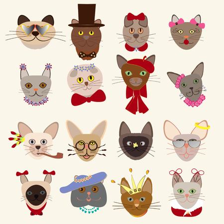 Colored cute cats heads set of different breeds wearing glasses hats bow ties feathers crown decorative elements isolated vector illustrationのイラスト素材