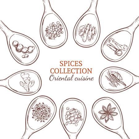 Sketch spices and herbs round concept with food seasonings and condiments on spoons isolated vector illustrationのイラスト素材
