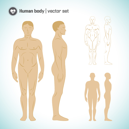 Male body setのイラスト素材
