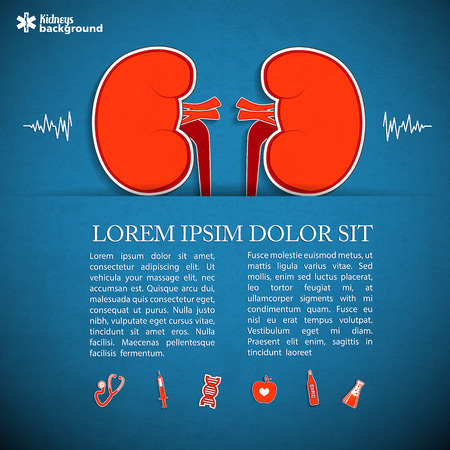 Human organs concept.のイラスト素材