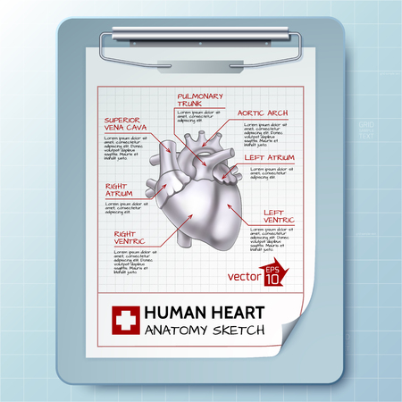 Anatomical clipboard template with notepad and sketch heart anatomy on blue background isolated vector illustrationのイラスト素材