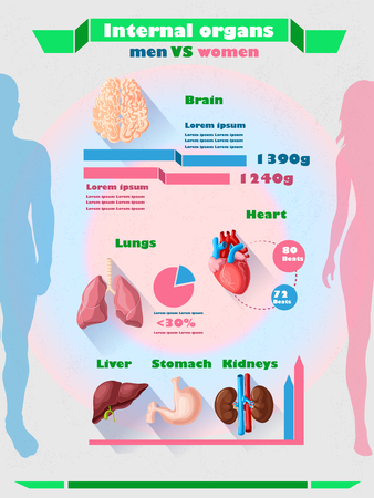 Human Internal Organs Infographic Templateのイラスト素材