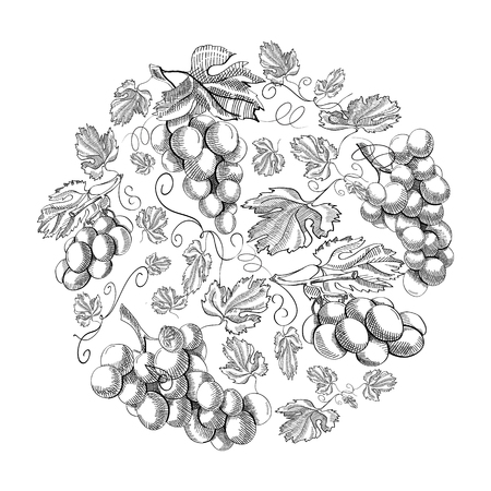 Circle Pattern Bunches Of Grape Doodleのイラスト素材