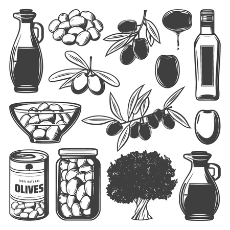 Vintage natural olive collection with tree branches can glass container bottle and jug isolated vector illustrationのイラスト素材