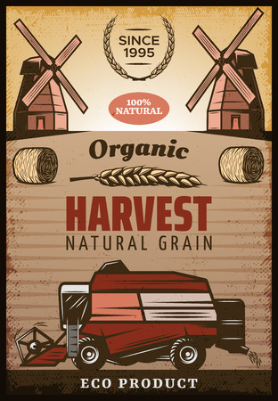 Vintage colored agricultural harvesting poster with inscriptions hay bales wheat ear windmills combine harvester vector illustrationのイラスト素材