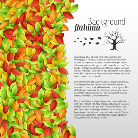 Elegant bright autumn floral template with text and colorful falling leaves on white background vector illustrationのイラスト素材