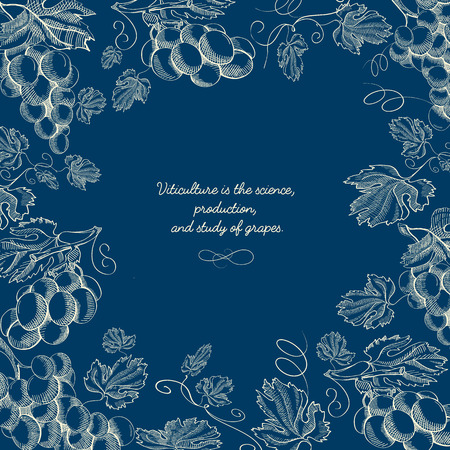 Abstract floral hand drawn blue background with twigs of ripe grapes in vintage style vector illustrationのイラスト素材