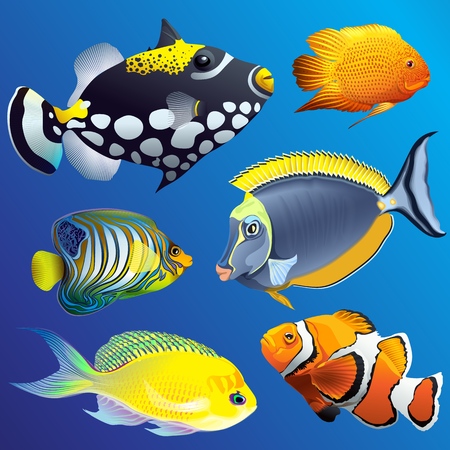 Realistic exotic marine underwater fauna set with different tropical fishes on blueのイラスト素材