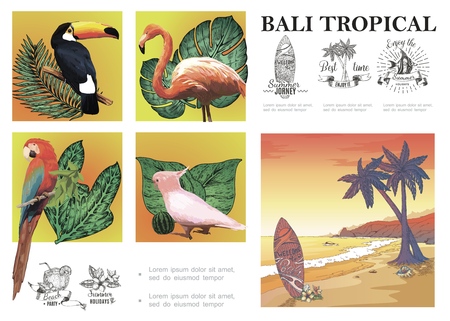 Sketch Bali exotic composition with macaw cockatoo flamingo toucan tropical plants sand beach landscape and summer vacation emblems vector illustrationのイラスト素材
