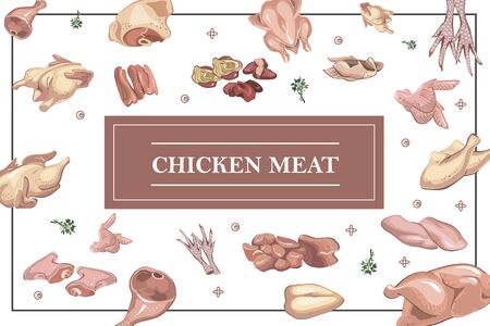 Chicken meat colorful conceptのイラスト素材