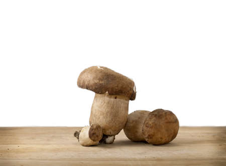Mushrooms isolated on Whiteの写真素材