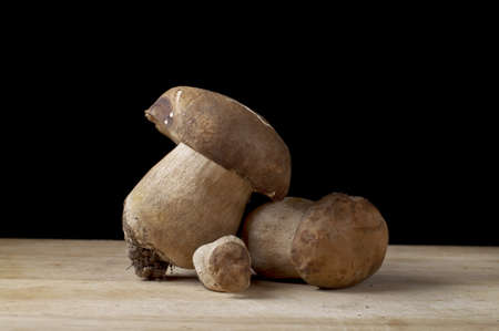 Mushrooms isoalted on Blackの写真素材