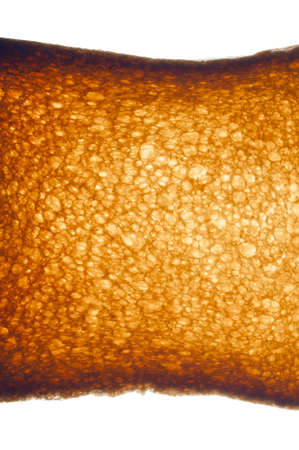 White bread toast close up with back light isolated on whiteの写真素材