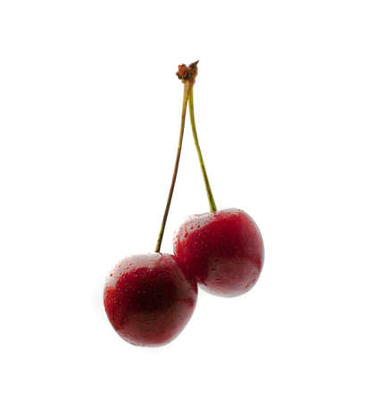 Two fresh cherries with water drops isolatedの写真素材