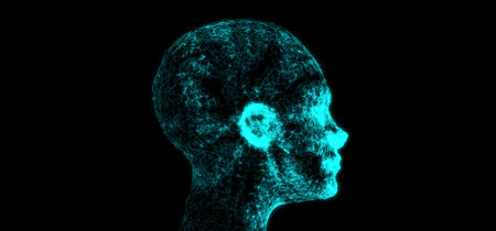 3D Rendering Of Abstract Network Plexus Connection Net On Human Face