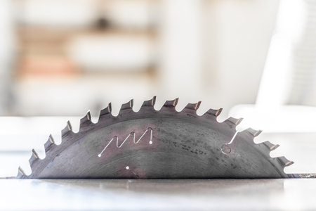 Lateral view of a wood cutting disc with saw teeth