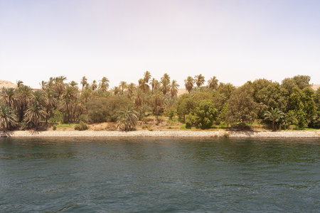 River bank of the Nile river in Egyptの写真素材