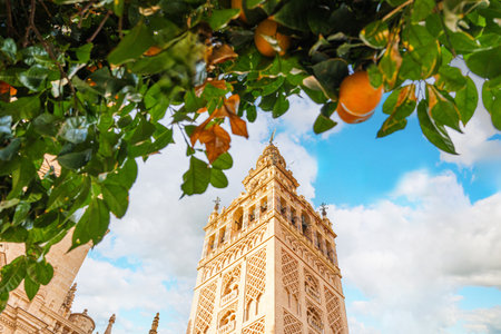 Giralda Tower in Cathedral of Seville. Spainの写真素材