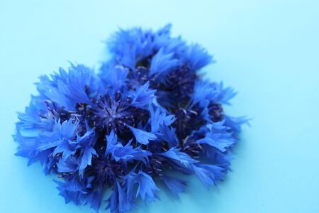 Heart symbol made of cornflower. Valentines day concept.の写真素材