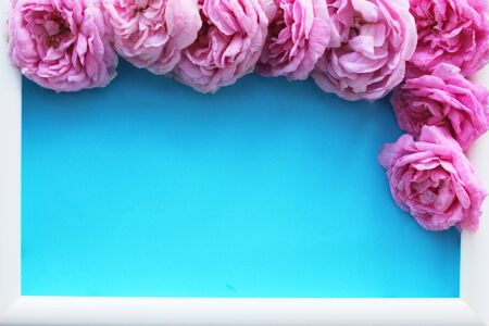 Beautiful delicate pastel background with white frame and pink roses insideの写真素材