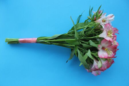 Beautiful azure background with bouquetの写真素材