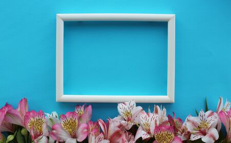 Beautiful azure background with white frame and flowersの写真素材