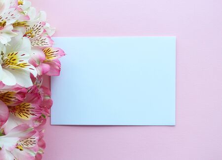 Beautiful pink summer card with pink and white flowersの写真素材