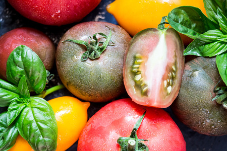 Colorful tomatoes of different sizes and kinds with basil. selective focus