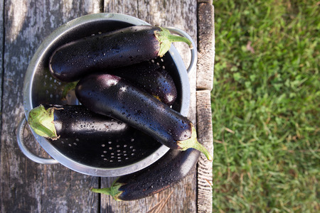 eggplant in colander on a rustic table. sunlight, selective focus.の写真素材