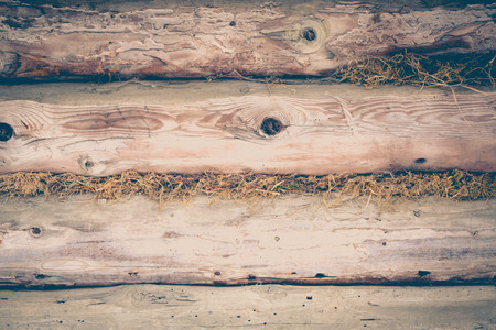 natural old wooden background. grunge wood panels.の写真素材