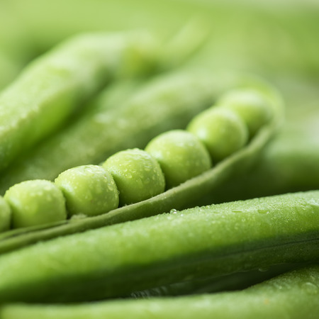 green pea pod, green peas. Vegetable background.の写真素材