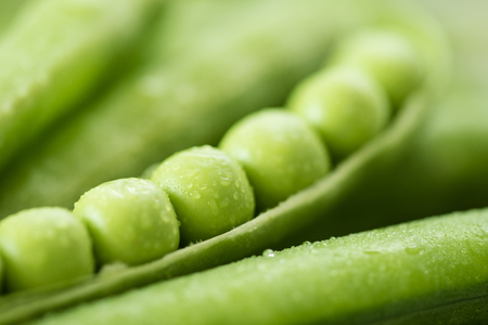 green pea pod, green peas. Vegetable background.の写真素材
