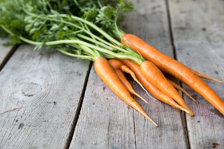fresh carrots bunch on wood. Bunch of fresh carrots with green leaves. Raw food ingredients.の写真素材